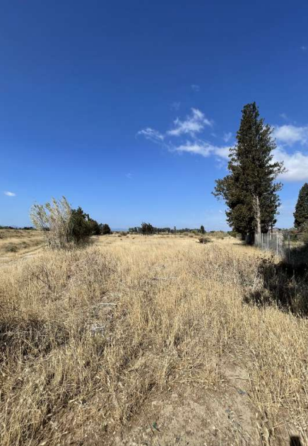 Terreno agricolo in San Sperate (SU) Procedura n. 7/2024